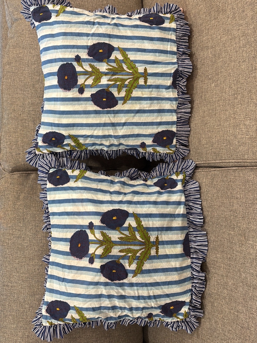 Embroidered Blue Striped Floral Throw Pillow - Set of 2